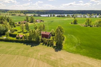 Bild av närområdet