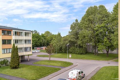 Bild av närområdet