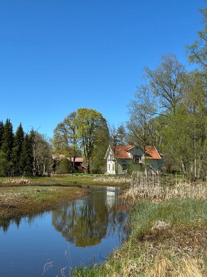 Bild av närområdet