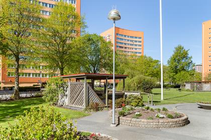 Bild av närområdet