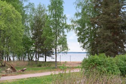 Bild av närområdet