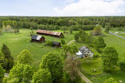 Bild av närområdet
