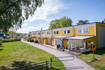 Bild av närområdet