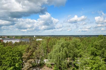 Tvillingarnas gata 319, Brandbergen