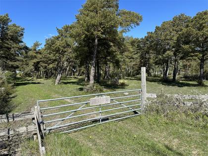 Näs Olsvenne 1:14, Södra Gotland