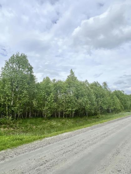 Lillberget 2:5, Gällivare