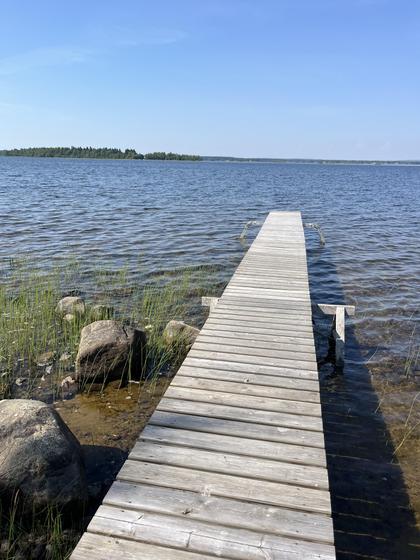Bild av närområdet