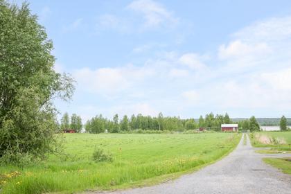 Bild av närområdet