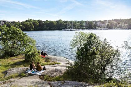 Bild av närområdet