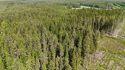 Illustrerad karta över fastigheten eller området