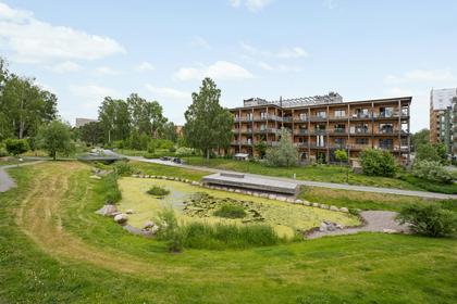 Bild av närområdet