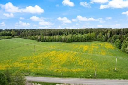 Bild av närområdet