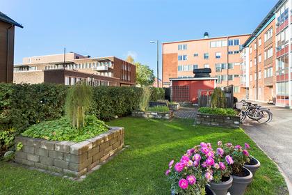 Timmermansgatan 34, Centrum