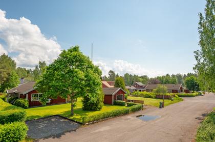 Bild av närområdet