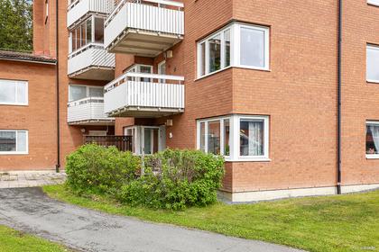 Anarisvägen 31, Fjällmon