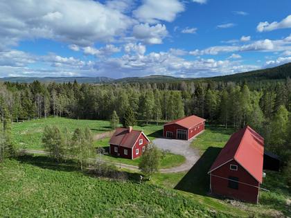 Bild av närområdet
