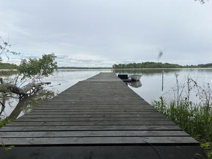 Bild av närområdet