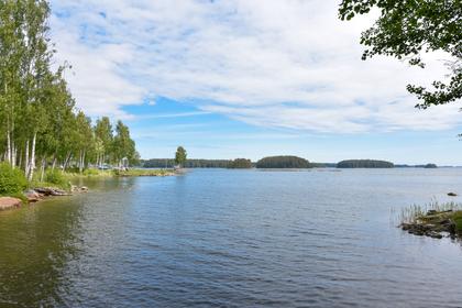 Bild av närområdet