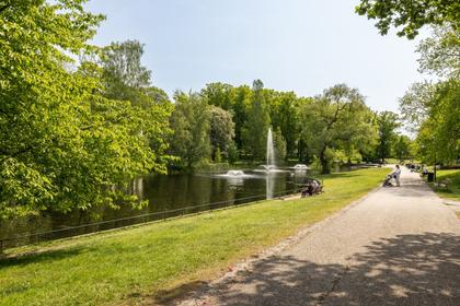 Bild av närområdet