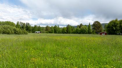 Risgränd 5, Vemdalen