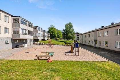 Bild av närområdet
