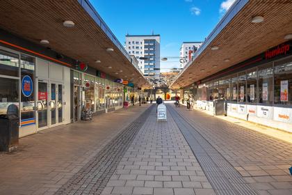 Bild av närområdet