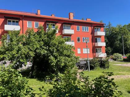 Exteriörbild