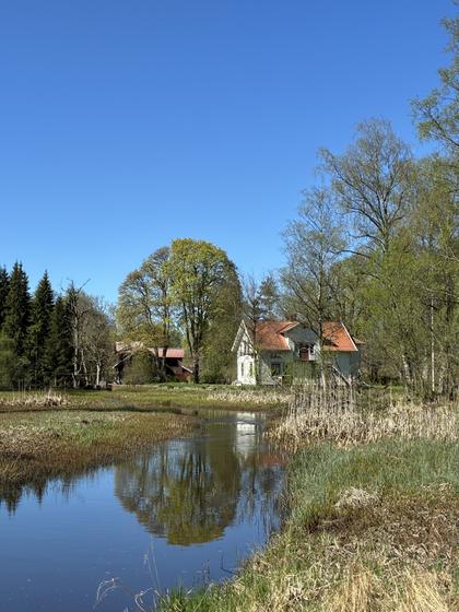 Bild av närområdet