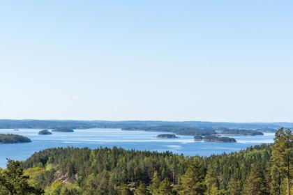 Bild av närområdet