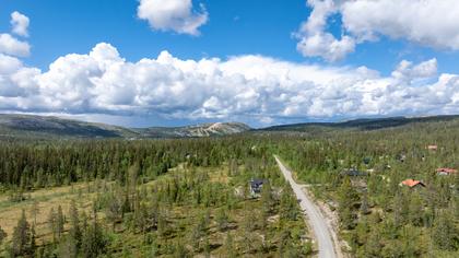 Ripfjället Skalfjällsvägen 1, Ripfjället