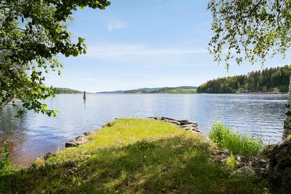 Bild av närområdet