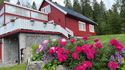 Rommenäs Knausen 1, Årjäng