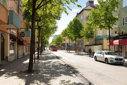 Bild av närområdet