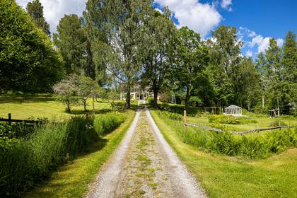 Bild av närområdet