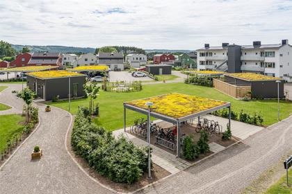 Bild av närområdet