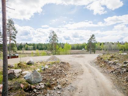 Bild av närområdet