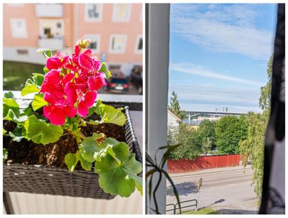 Kök eller matrum