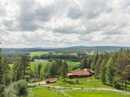 Bild av närområdet