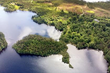 Bastås Sjöviken 1, Skogsbygden