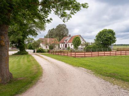 Ganthem Båtels 509, Ganthem