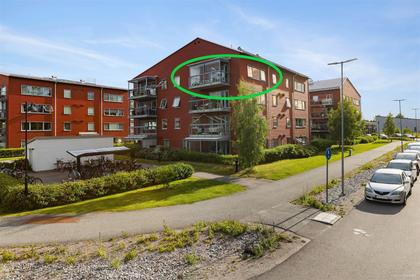 Bild av närområdet