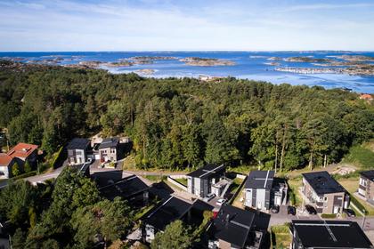 Bild av närområdet