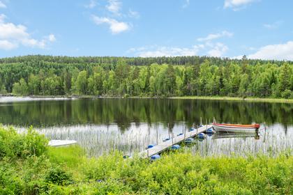 Bild av närområdet