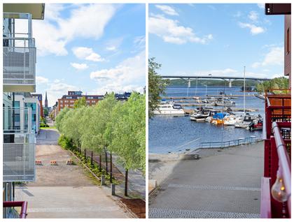 Bild av närområdet