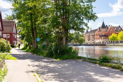 Bild av närområdet