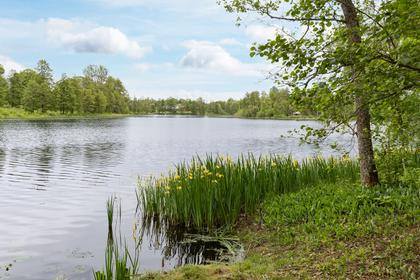 Bild av närområdet