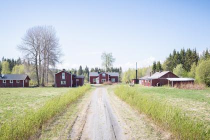 Bild av närområdet
