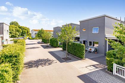 Bild av närområdet