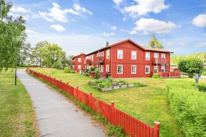 Bild av närområdet
