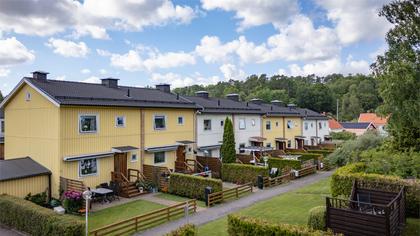 Vesslevägen 6B, Bleket
